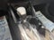 2026 Chevrolet Trailblazer FWD 4dr LT